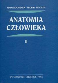Anatomia człowieka. Tom 2 - Adam Bochenek, Michał Reicher