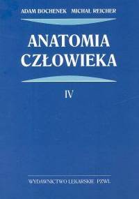 Anatomia człowieka Tom 4 - Adam Bochenek, Michał Reicher
