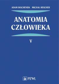 Anatomia człowieka Tom 5 Wydanie 6 - Adam Bochenek, Michał Reicher