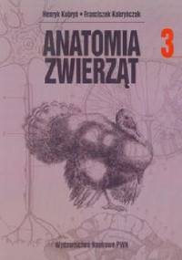 Anatomia zwierząt t. III - Franciszek Kobryńczuk, Henryk Kobryń