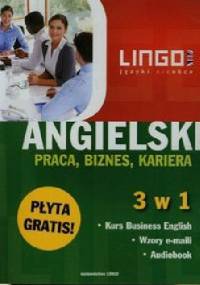Angielski. Praca, biznes, kariera 3 w 1