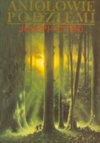 Aniołowie podziemi - Joseph Citro