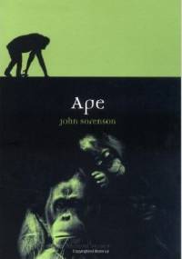 Ape - John Sorenson