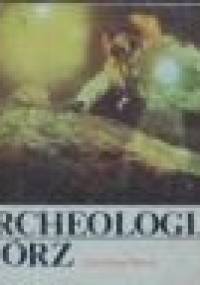 Archeologia mórz - Zdzisław Skrok