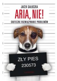 Aria, nie! Skuteczne rozwiązywanie problemów - Jacek Gałuszka