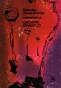 Arnhem - ciemne światło - Bohdan Drozdowski