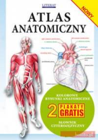 Atlas anatomiczny - praca zbiorowa