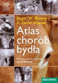 Atlas chorób bydła - Roger W. Blowey, A. David Weaver