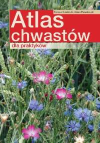 Atlas chwastów dla praktyków - Adam Paradowski, Tomasz Czubiński