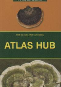 Atlas hub - Hanna Kwaśna, Piotr Łakomy