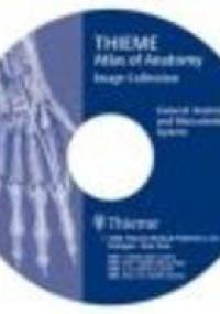 Atlas of Anatomy Image Collection General Anatomy - M. Schuenke