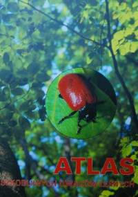 Atlas szkodliwych owadów leśnych - Jerzy R. Starzyk, Andrzej Kolk