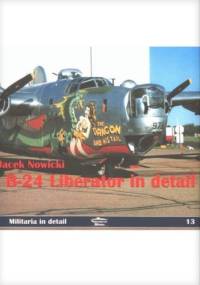 B-24 Liberator in Detail - Jacek Nowicki