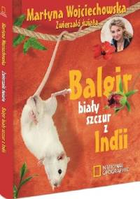 Balgir biały szczur z Indii