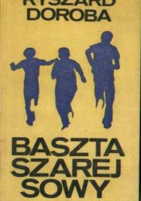 Baszta Szarej Sowy - Ryszard Doroba