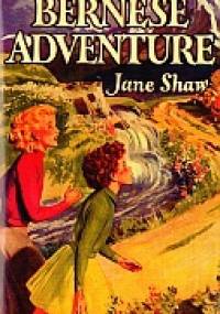 Bernese Adventure - Jane Shaw