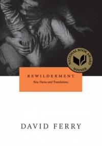 Bewilderment: New Poems and Translations - David Ferry