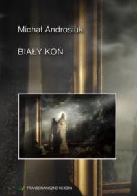 Biały koń - Michał Androsiuk