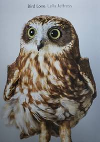 Bird Love - Leila Jeffreys