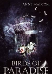 Birds of Paradise - Anne Malcom