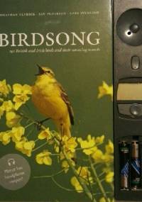Birdsong