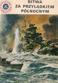 Bitwa za Przylądkiem Północnym - Andrzej Perepeczko