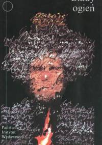 Blady ogień - Vladimir Nabokov