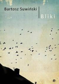Bliki - Bartosz Suwiński