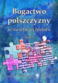 Bogactwo polszczyzny w świetle jej historii. Tom 3 - Artur Rejter
