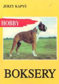 Boksery - Jerzy Kapyś