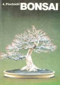 Bonsai - Andrzej Płochocki