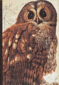 Book of British Birds - Robin S. Hosie