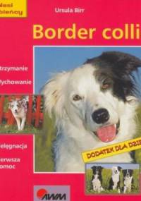 Border collie - Ursula Birr