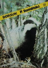 Borsuk - Piotr Sumiński