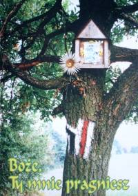 Boże, Ty mnie pragniesz - Nicola o. Lomurno