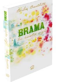 Brama do świata wizji - Barbie Breathitt