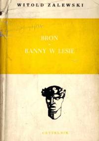 Broń; Ranny w lesie - Witold Zalewski