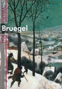Bruegel - David Bianco
