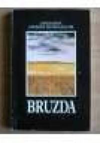 Bruzda - Josemaría Escriva de Balaguer