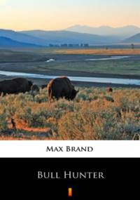 Bull Hunter - Max Brand