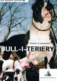 Bull-i-teriery - Daniel Capricorn