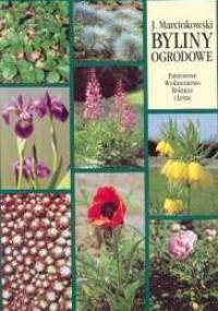 Byliny ogrodowe. Produkcja i zastosowanie - Jacek Marcinkowski