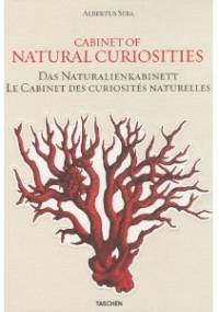 Cabinet of Natural Curiosities - Albertus Seba