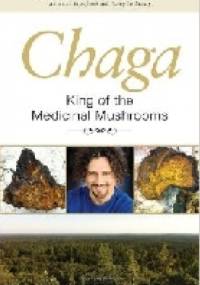 Chaga: King of the Medicinal Mushrooms - David Wolfe