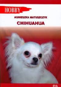 Chihuahua - Agnieszka Matuszczyk