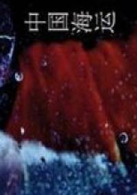 China Shipping - Justyna Bargielska