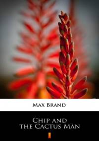 Chip and the Cactus Man - Max Brand