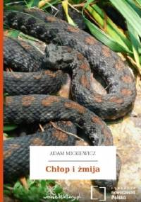 Chłop i żmija - Adam Mickiewicz