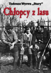 Chłopcy z lasu - Jozef Wyrwa