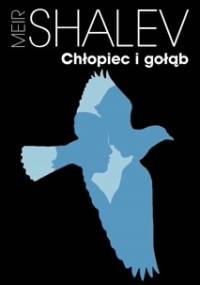 Chłopiec i gołąb - Meir Shalev